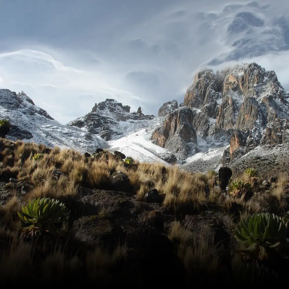 Looking up at a snow covered Mount Kenya