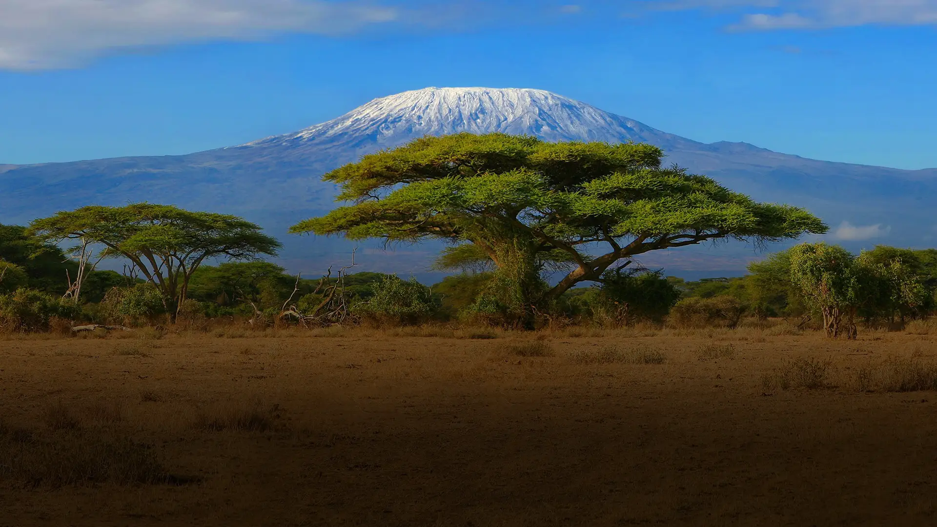 Looking across the African plain to Mount Kilimanjaro in the distance