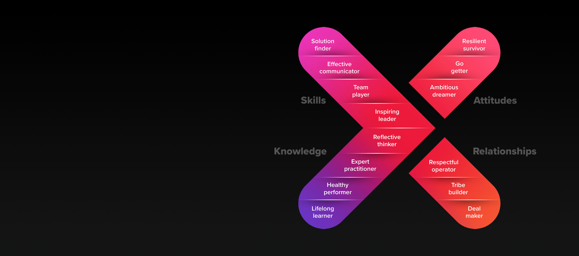 A screenshot of the X model of Success, labelled with Skills, Attitudes, Knowledge and Relationships